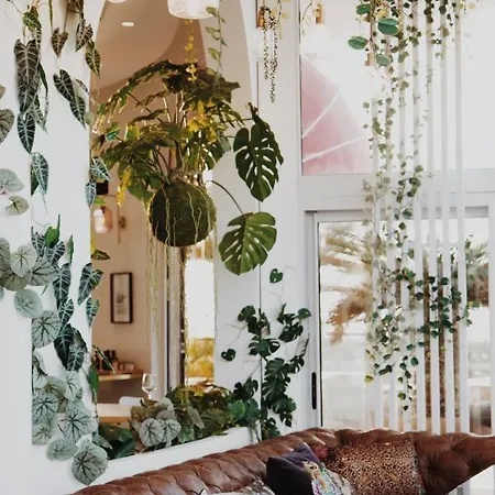 Rose Thé Hotel La Ciotat