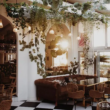 Rose Thé 3* La Ciotat