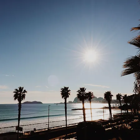 Hotel Rose Thé La Ciotat