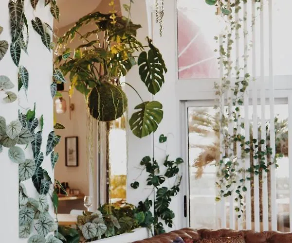 Le Rose The Hotel La Ciotat